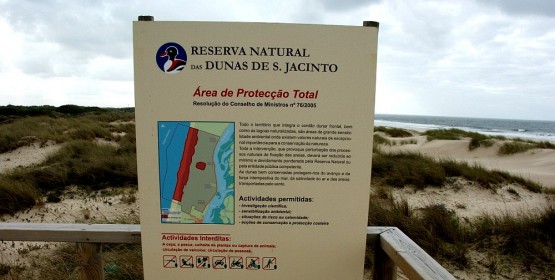São Jacinto Dunes Natural Reserve, in Ria de Aveiro – Lagoon