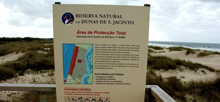 São Jacinto Dunes Natural Reserve, in Ria de Aveiro – Lagoon São Jacinto Dunes Natural Reserve, in Ria de Aveiro – Lagoon